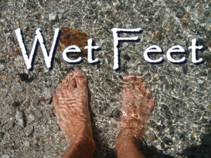 wet-feet-11-13-2016
